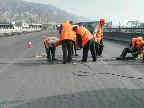 吉州道路桥梁病害治理